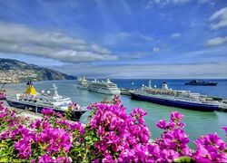 Funchal kikötő