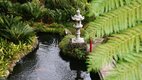 Madeira mesés kertjei japán kert Madeirán