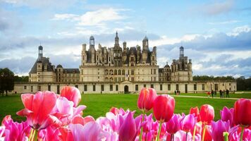 Loire-völgyi kastélyok és Reims, Párizzsal fűszerezve