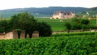 Burgundia-Elzász-Lyon és az Alpok vidéke szőllősbirtok