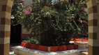Dawar El Omda kerti pihenő