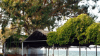 Hotel Mimoza Beach tengerpart