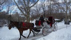 Karácsonyi fények New Yorkban lovaskocsikázás a parkban