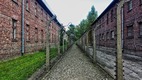 Krakkó-Zakopane (Wieliczka, Auschwitz) 