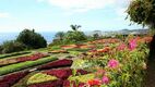 Madeira mesés kertjei kert