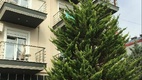 My Hotel apartmanház megnőtt a fa