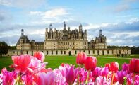 Loire-völgyi kastélyok és Reims, Párizzsal fűszerezve