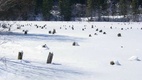 Szilveszter Erdélyben Gyilkos-tó télen