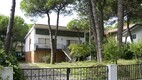 Villa Alba - Pineta 