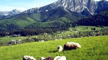 Lengyelország : Lengyelország - Wikipédia - Crystal Grequod