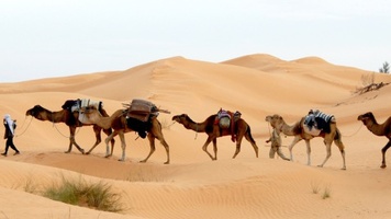 Sahara Park